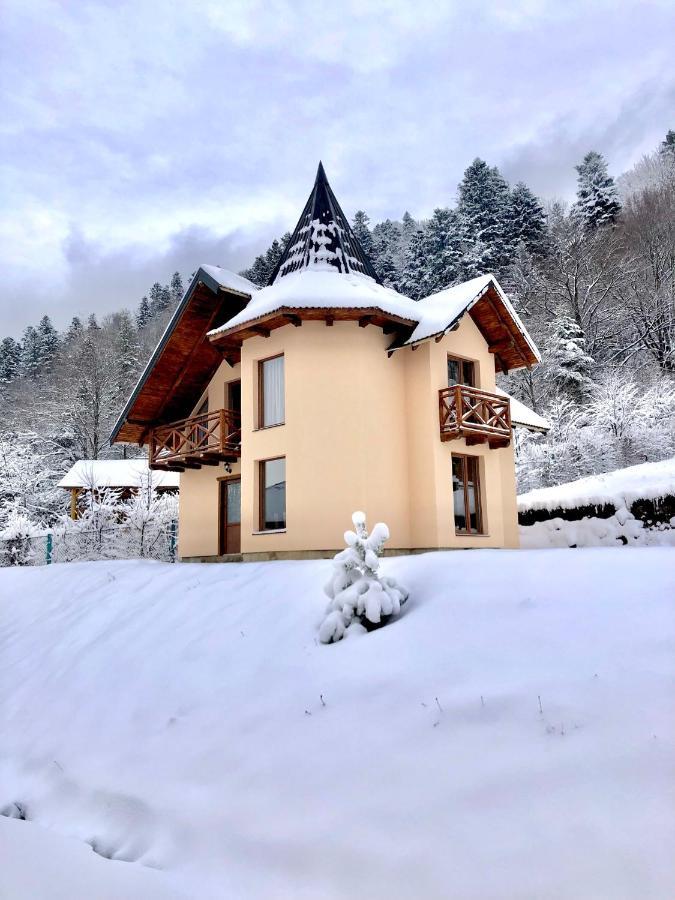 Villa Лучка à Mykulychyn Extérieur photo